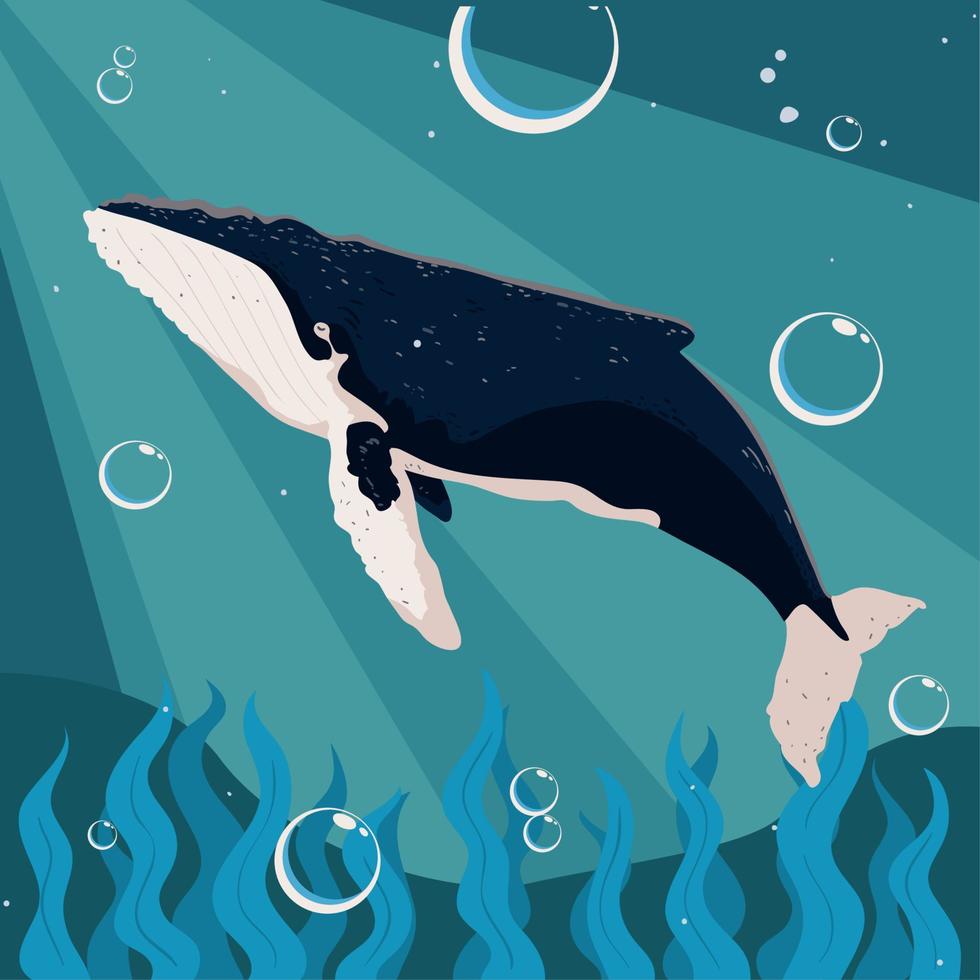 humpback whales in ocean vector