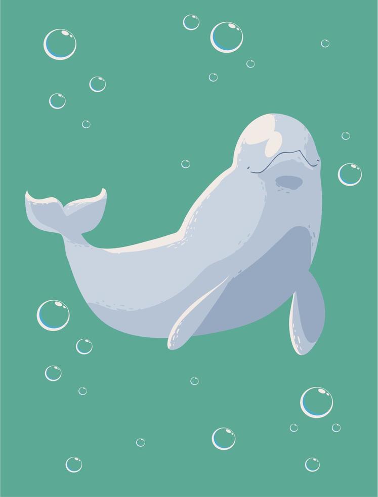 beluga whale with bubbles vector