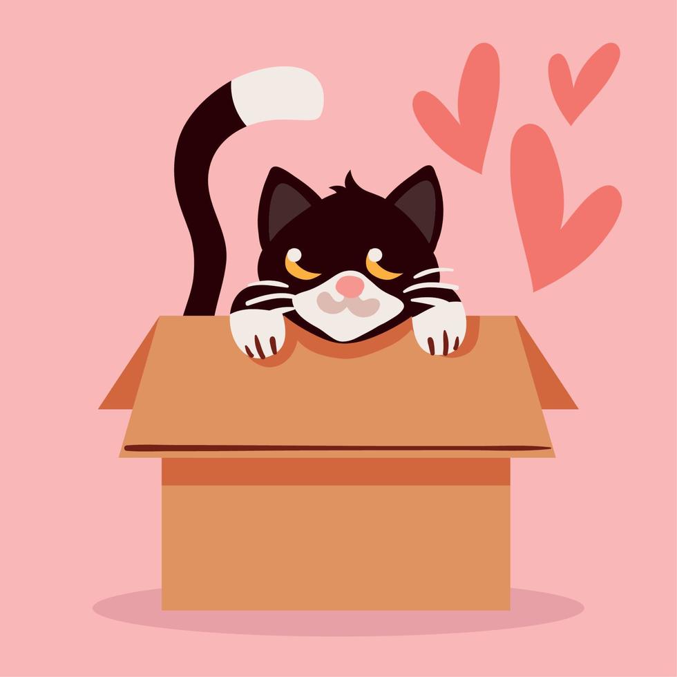 black cat inside box vector