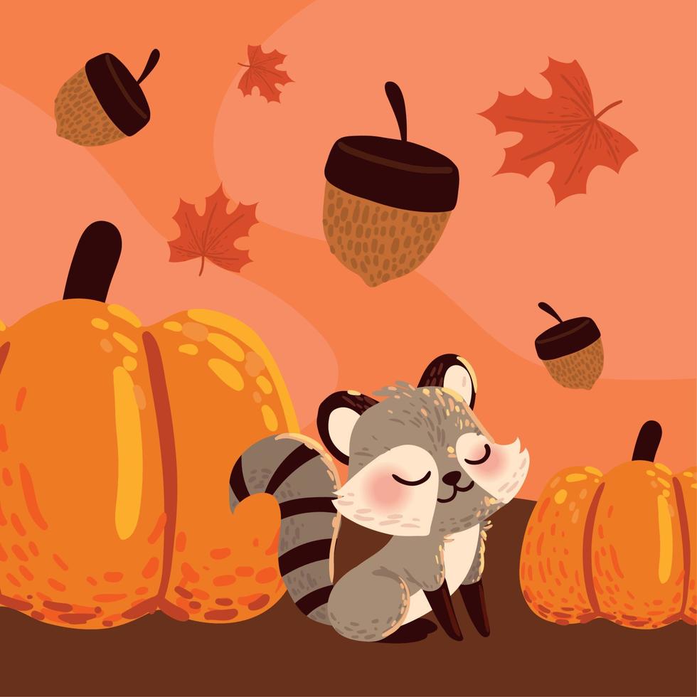 raccoon and pumpkins autumn vector
