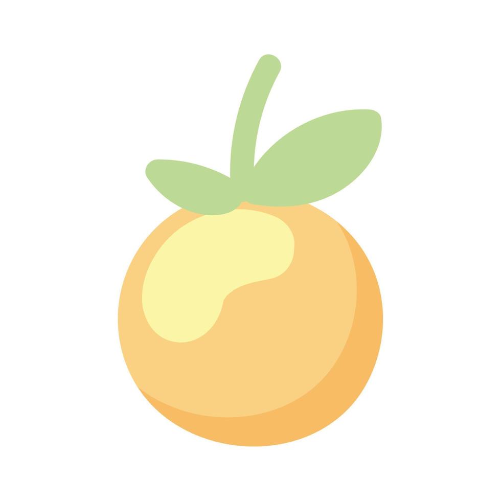 orange fruit icon vector