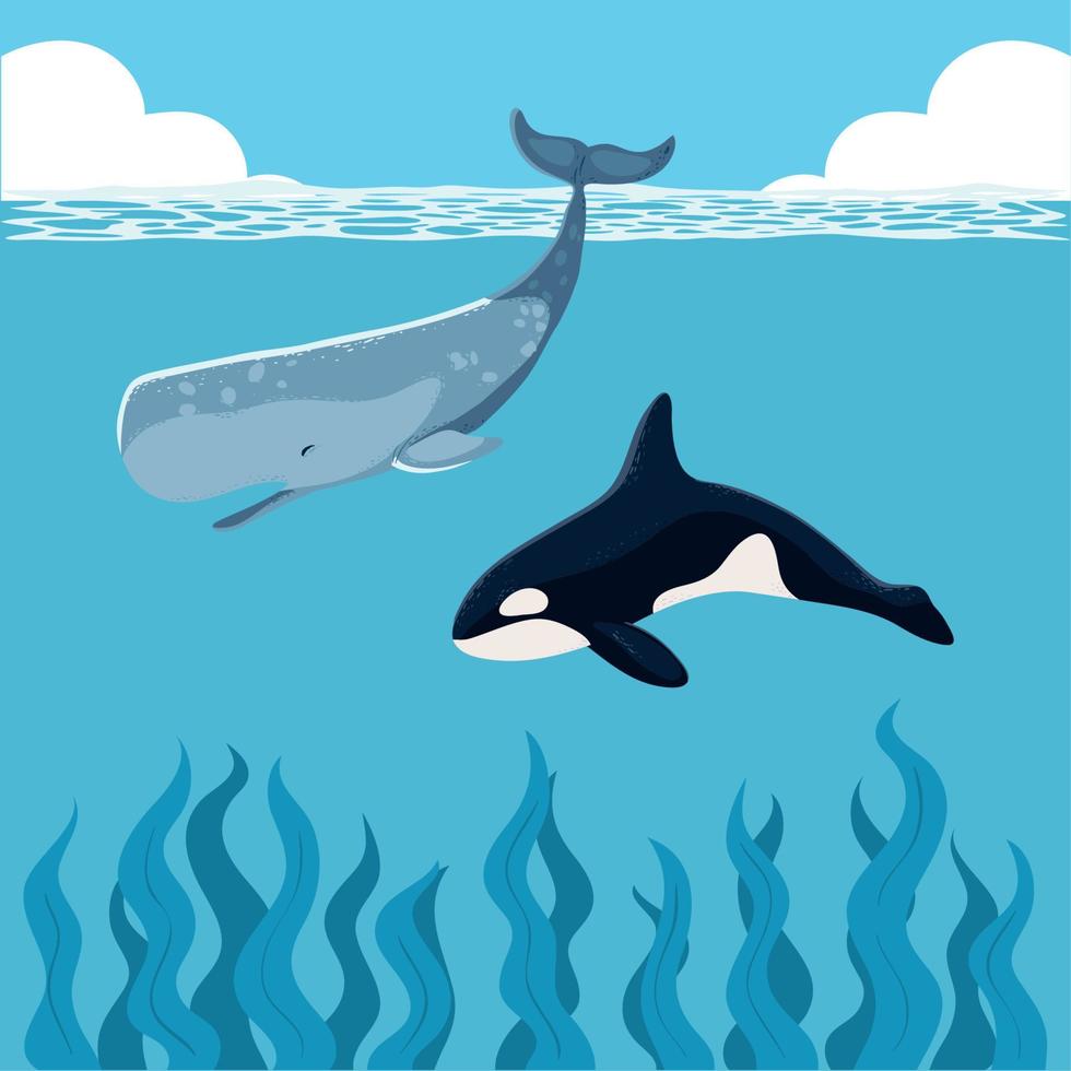 orca and sperm whales vector