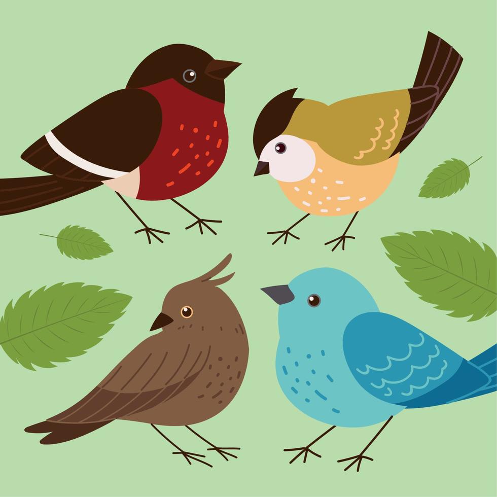 set of birds vector