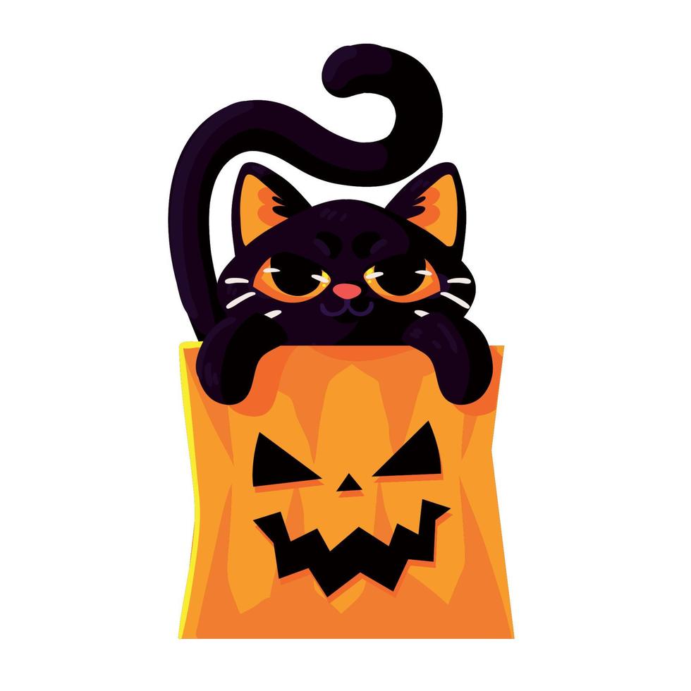 halloween cat on pumpkin vector