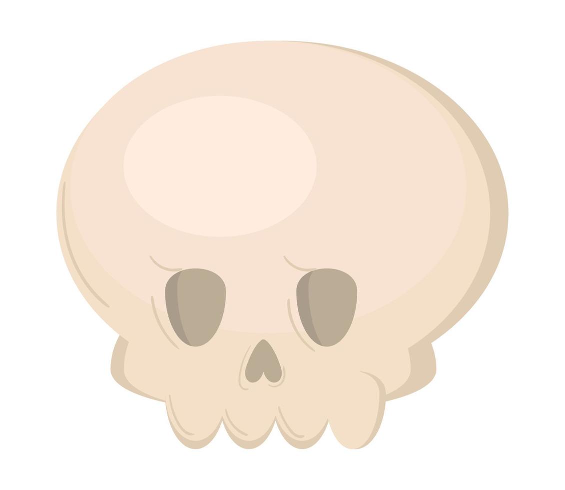 skull flat icon vector