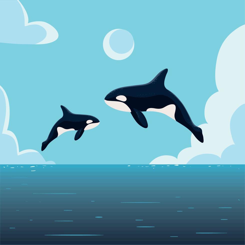 jumping orca whales vector