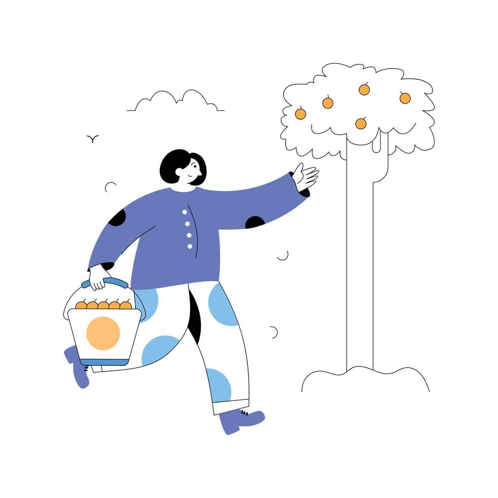 Ready to use flat illustration of picking fruit vector