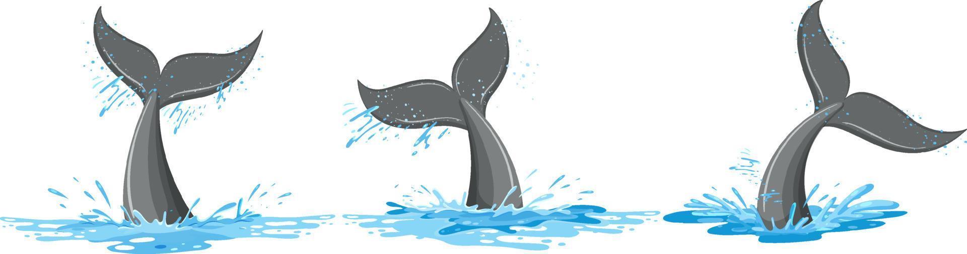 Different tails of whale in the water vector