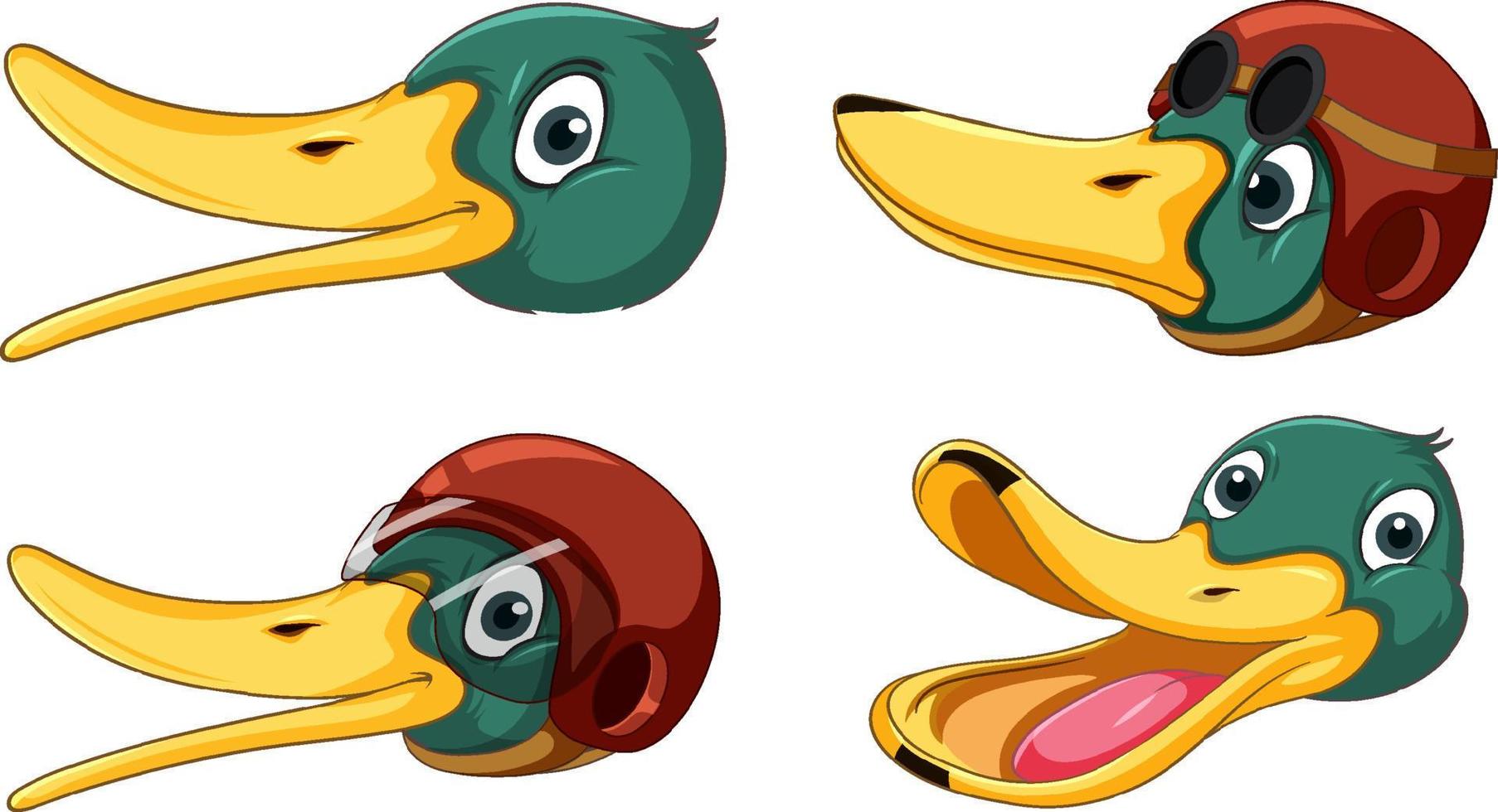 Set of different faces of wild ducks cartoon vector