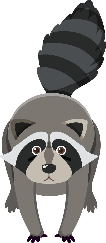 Cute raccoon in flat cartoon style vector