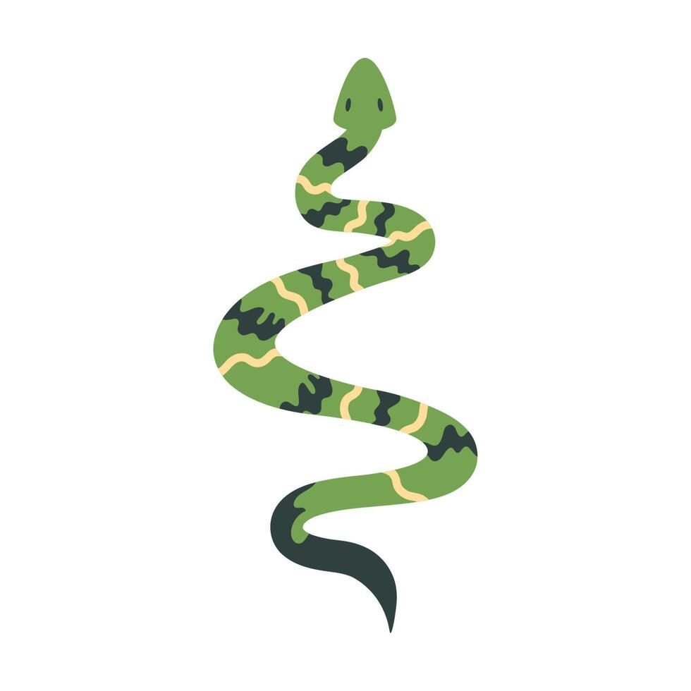 serpiente verde animal salvaje vector