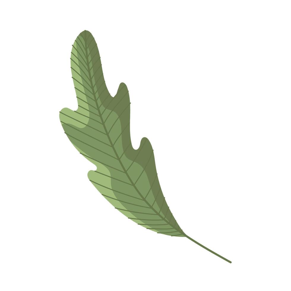 follaje de la planta de hoja vector