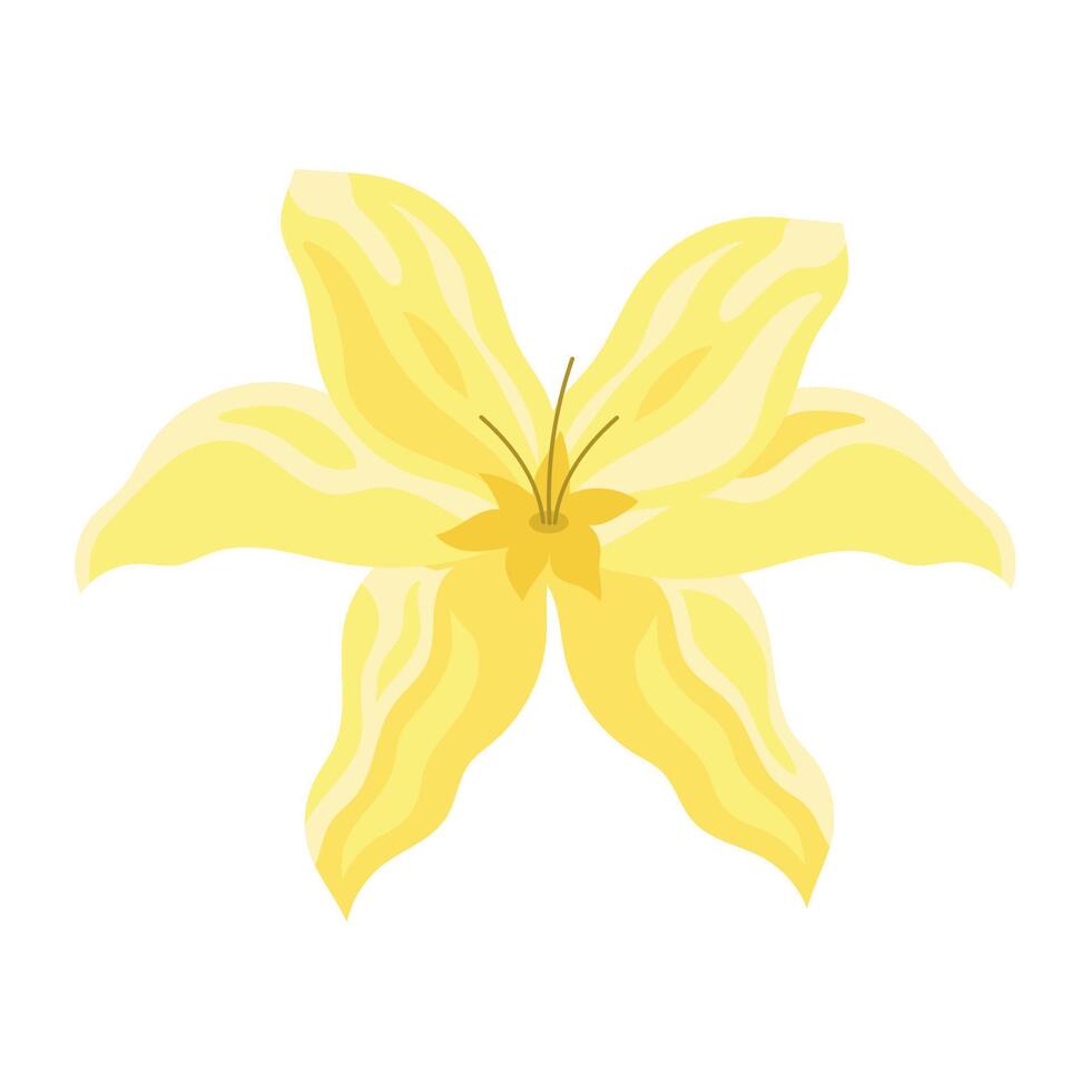 yellow exotic flower garden vector