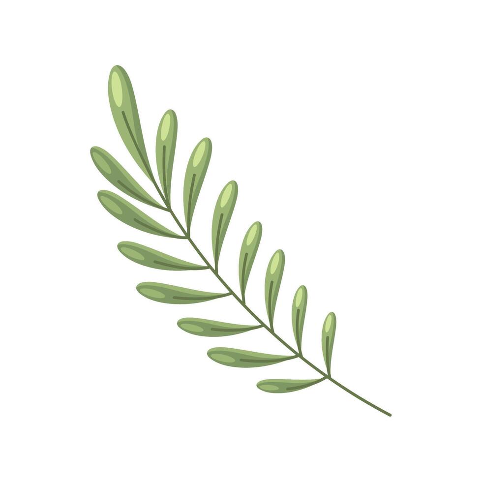 branch plant foliage vector