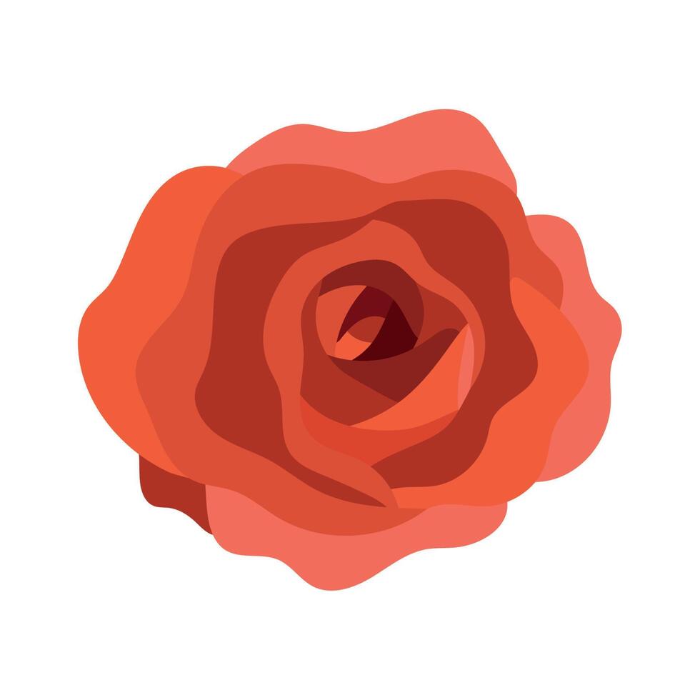 red rose flower garden vector