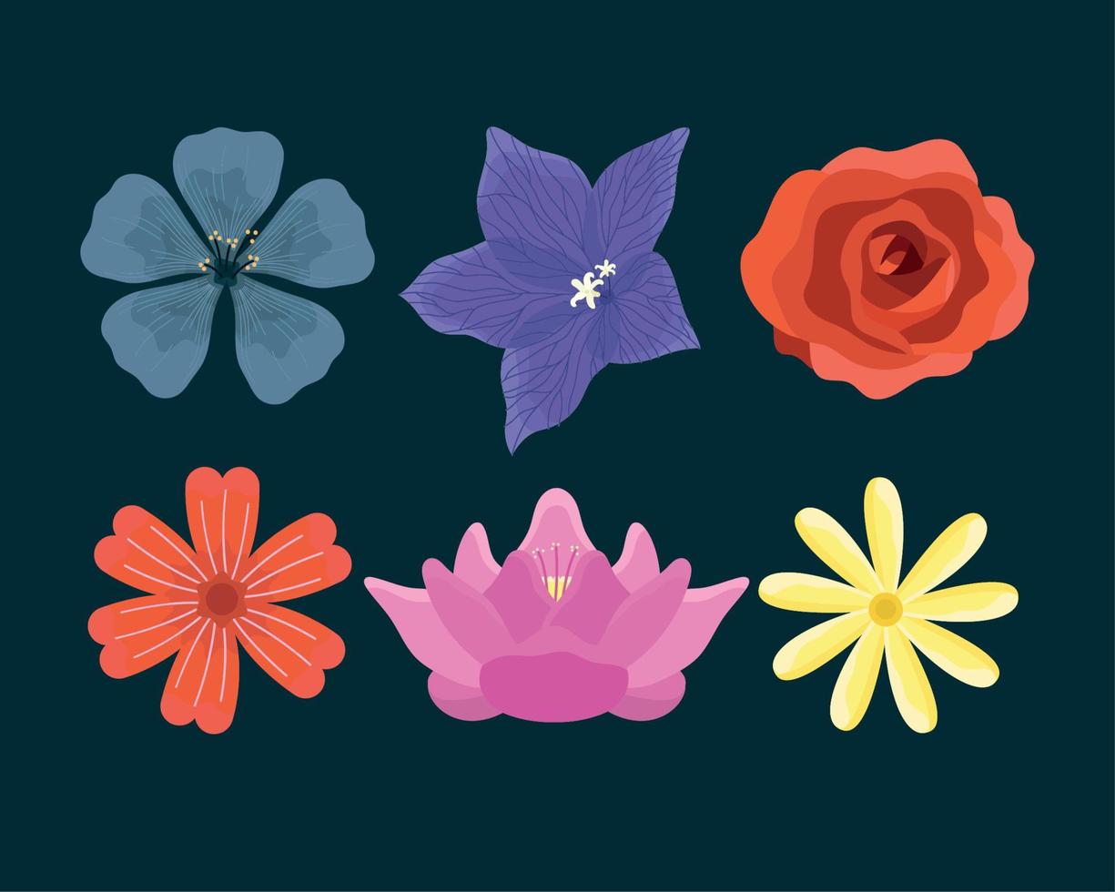 six flowers decoration vector