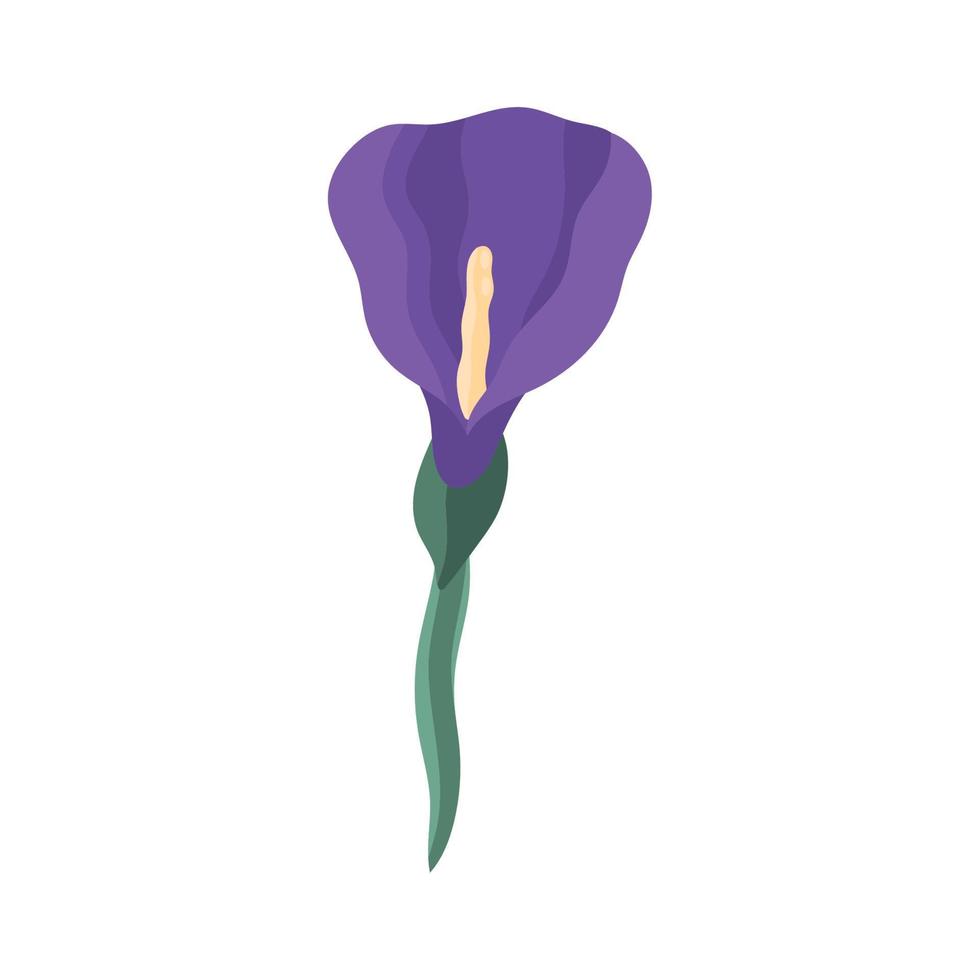 purple exotic flower garden vector