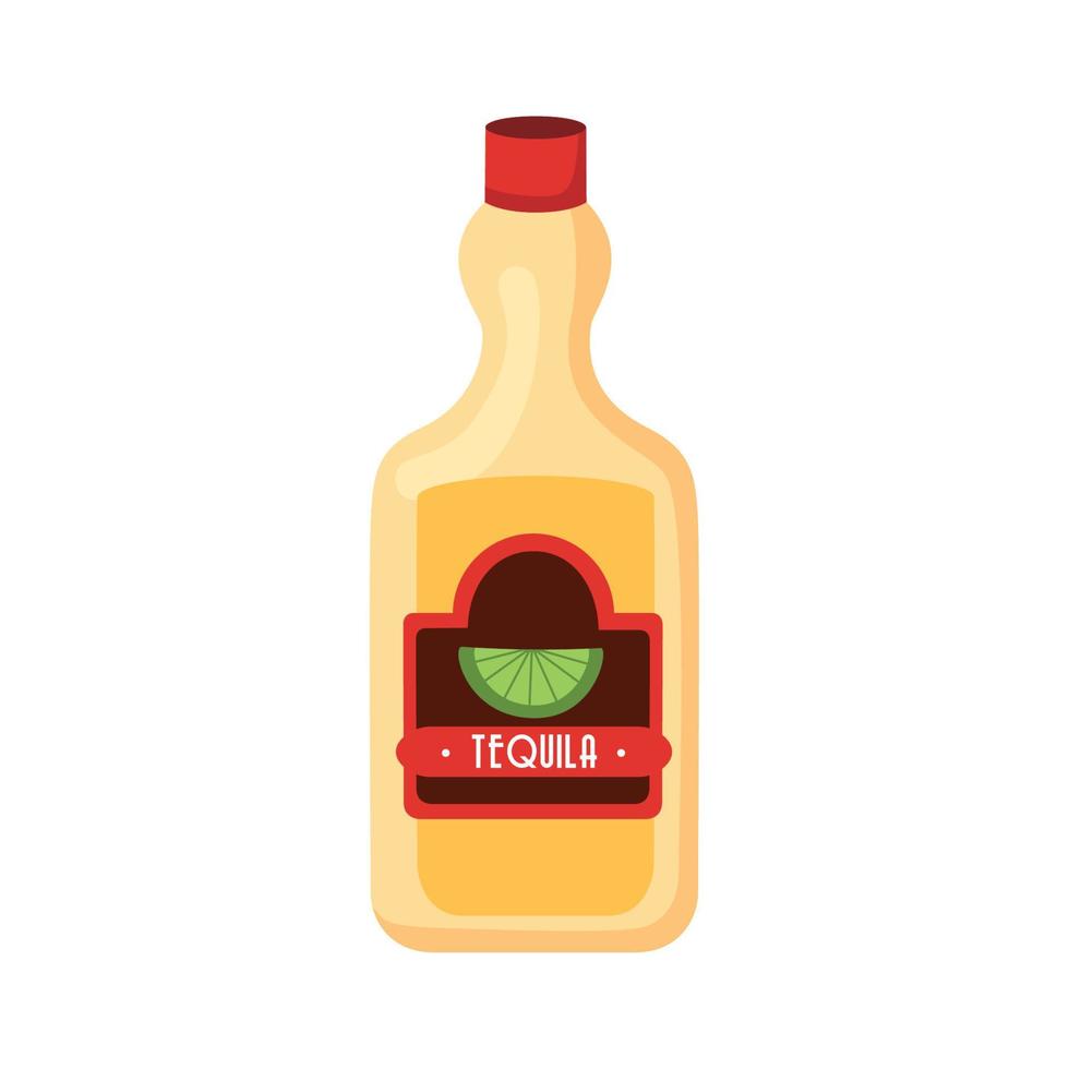 mexican tequila bottle vector