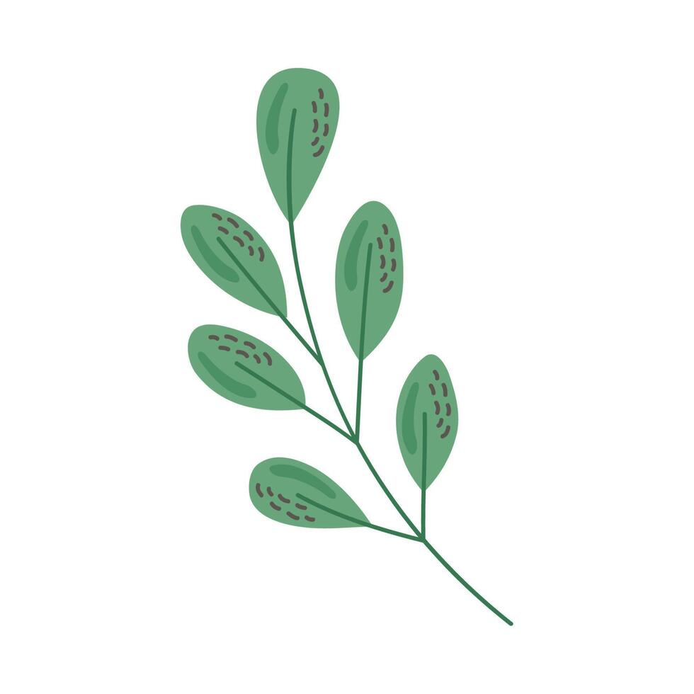 green branch with leafs vector