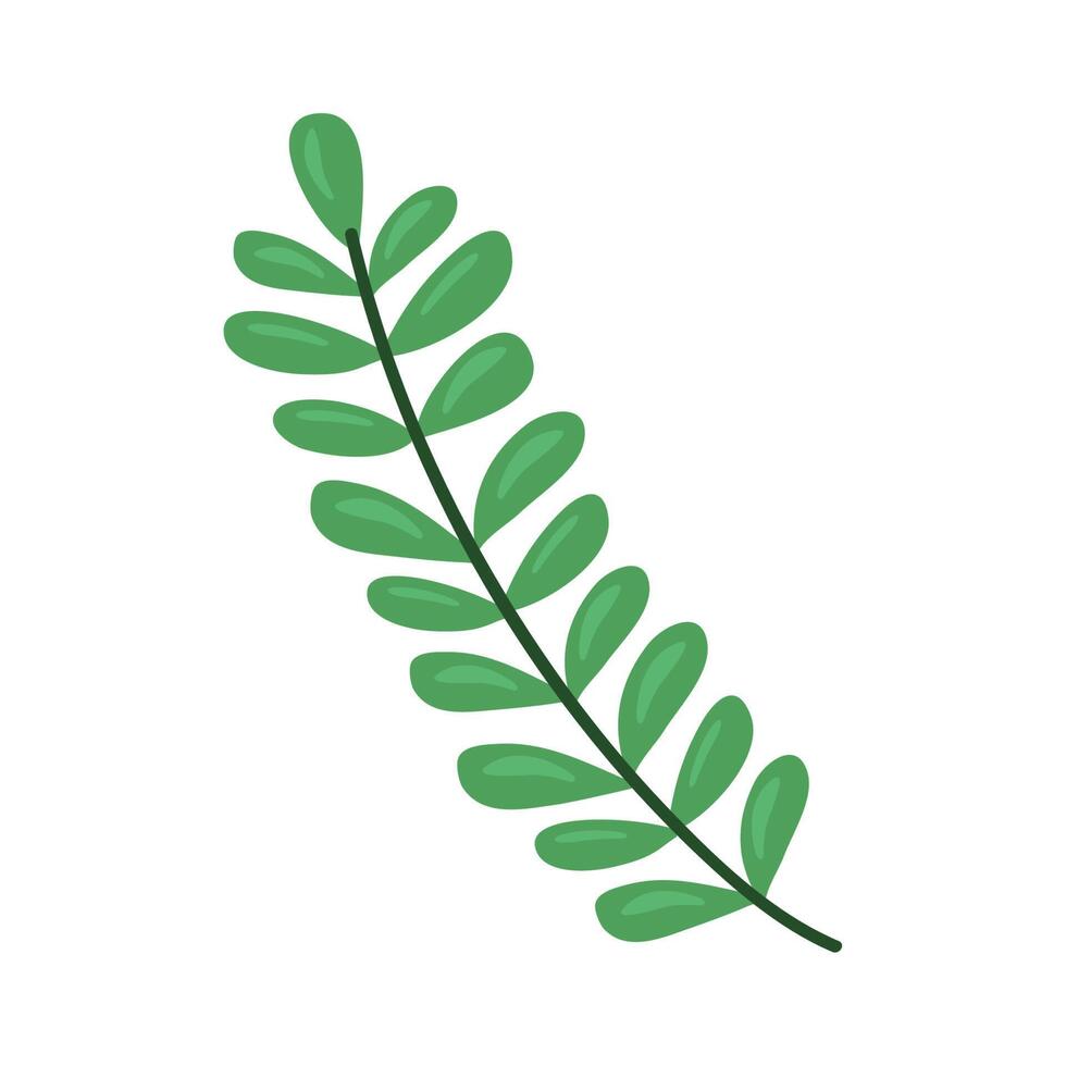 green leafs branch vector