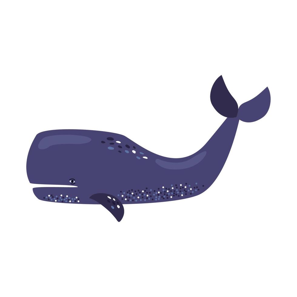 sperm whale sealife vector