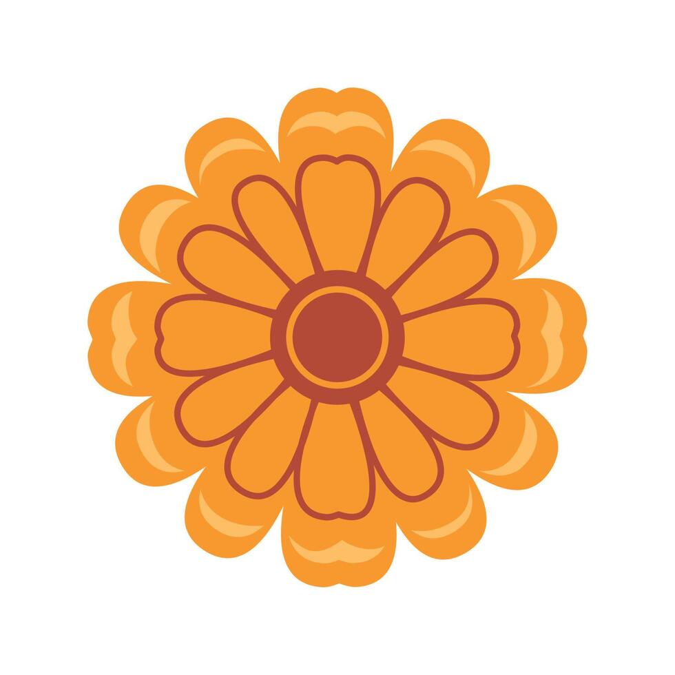 orange sunflower plant vector