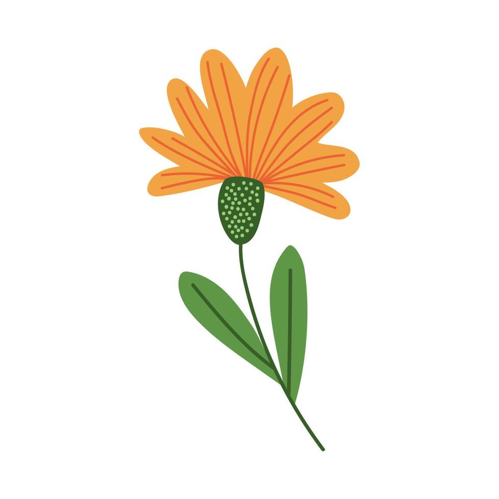 yellow flower garden vector