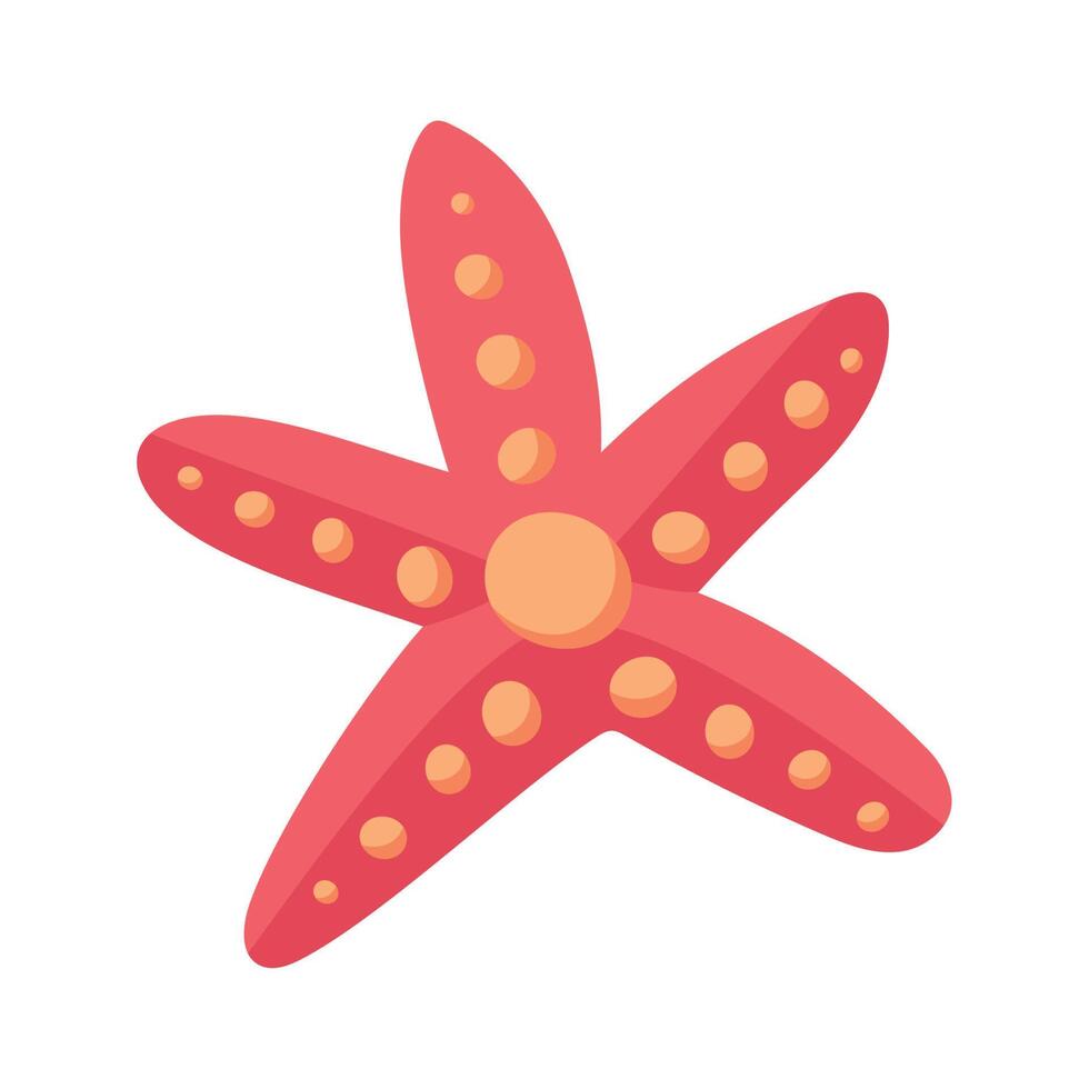 starfish tropical animal vector