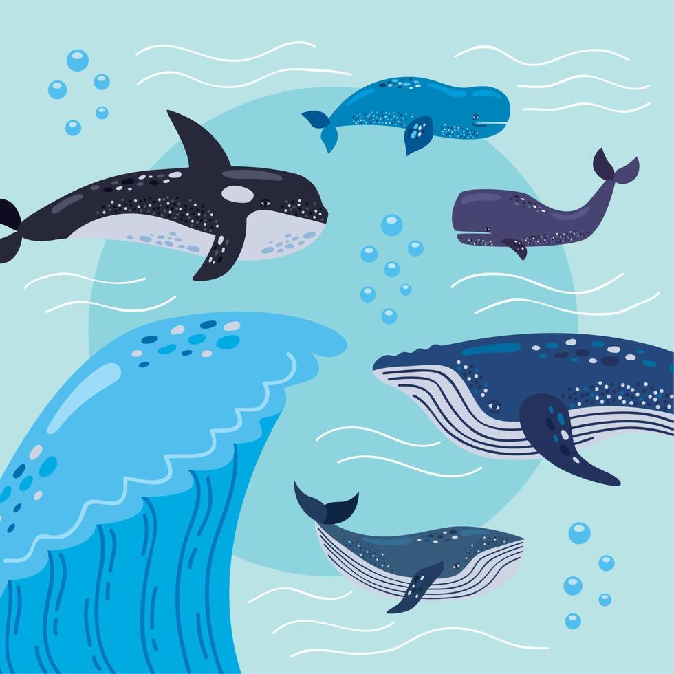 five whales and sea wave vector