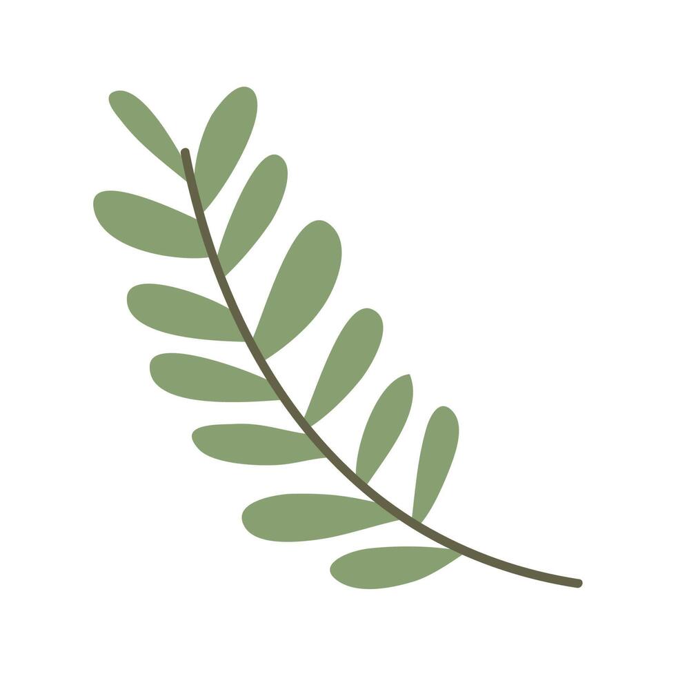 branch with leafs foliage vector