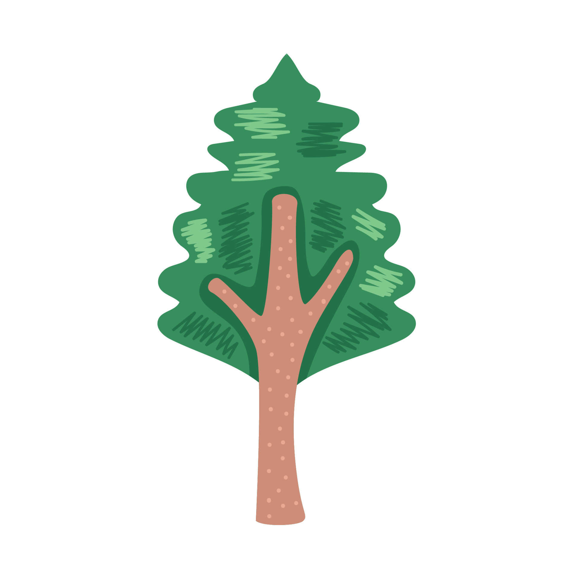 pine coniferus tree 11133026 Vector Art at Vecteezy