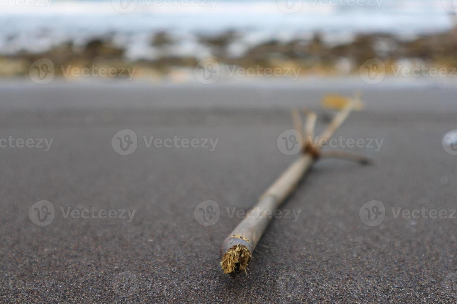 madera a la deriva en la arena foto