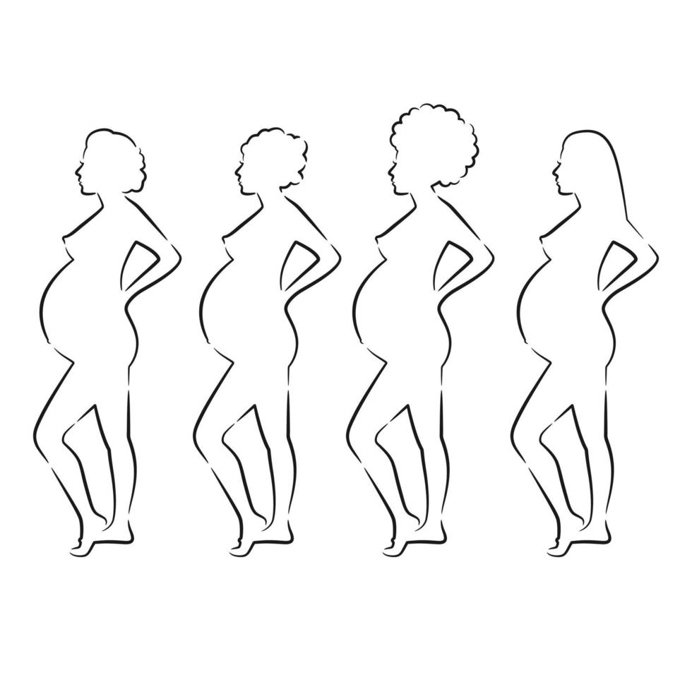 Line art pregnant women vector illustration