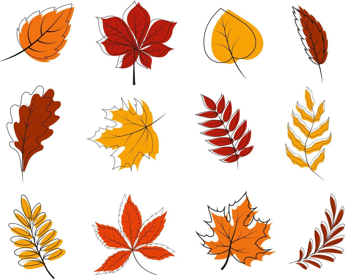 Colorful autumn leaves, outline and paint, in cartoon style vector