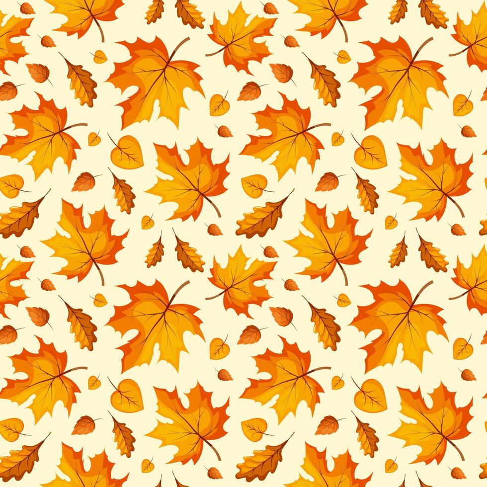 Pattern with autumn leaves. Ideal for packaging, notebooks, school supplies, children's clothing vector