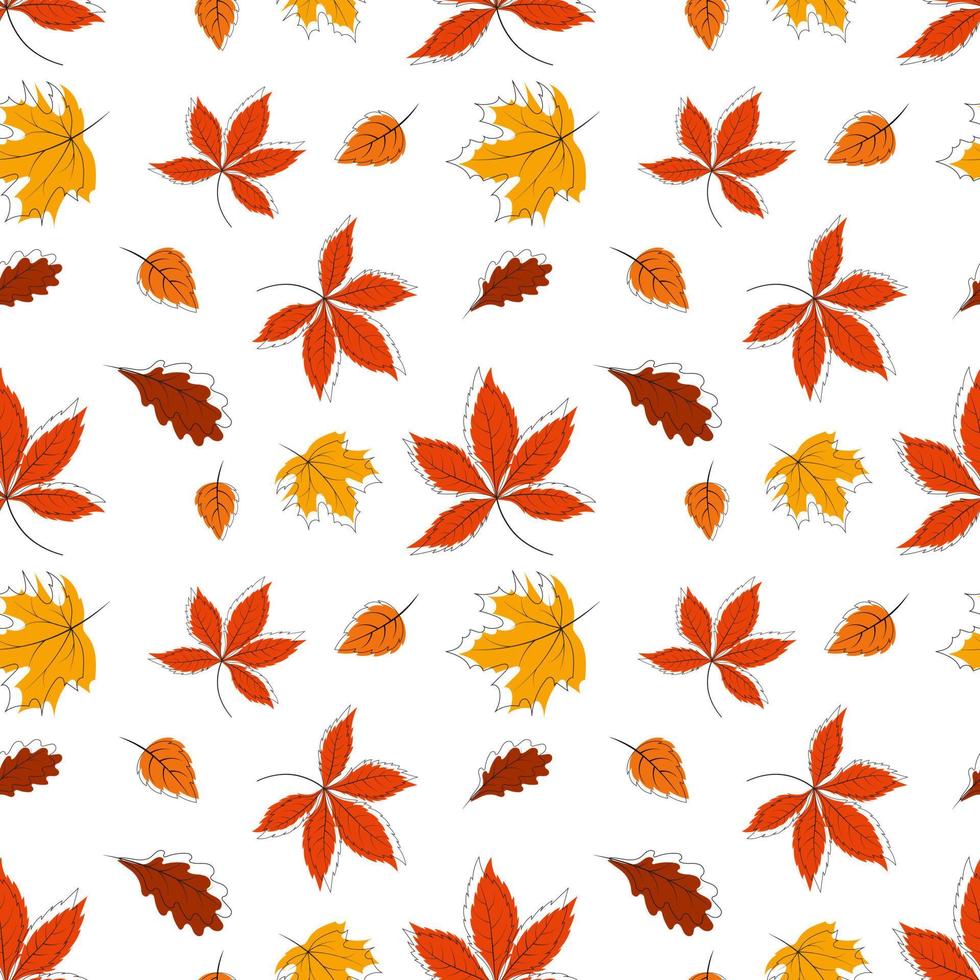 Pattern with colorful autumn leaves, outline and paint. Ideal for packaging, notebooks, school supplies, children's clothing 5 vector