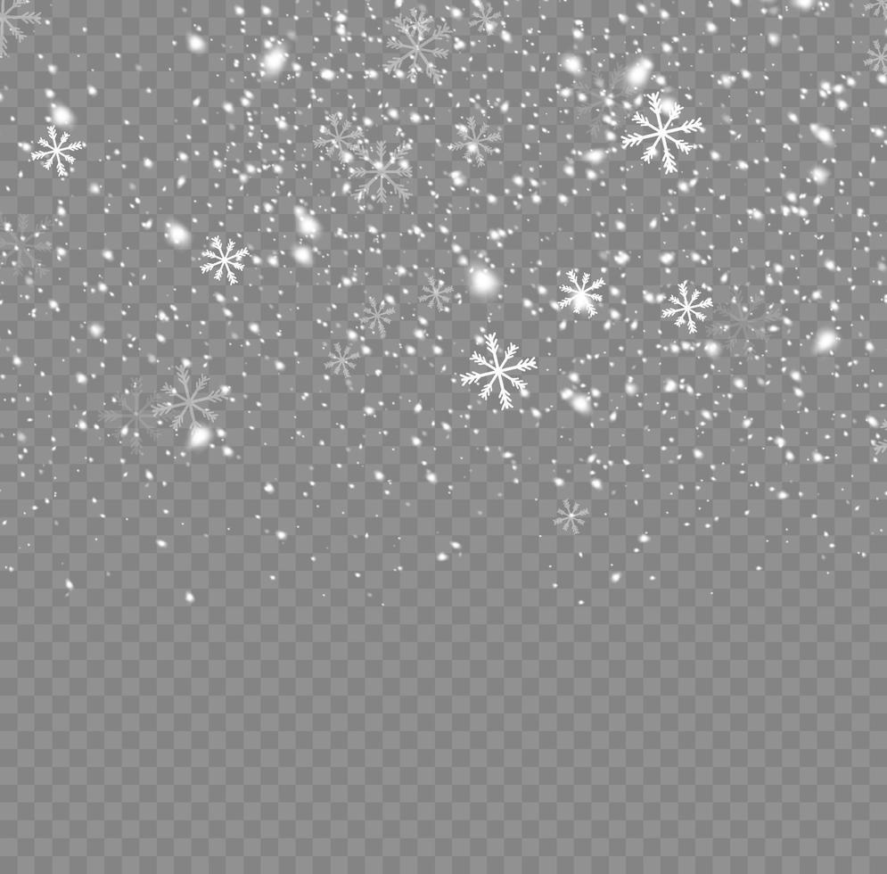 Snow and wind. Vector heavy snowfall, snowflakes in various shapes and forms. Many white cold flakes elements. White snowflakes are flying in the air. snow background.