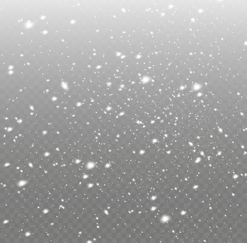 White snowflakes are flying in the air. snow background. Snow and wind. Vector heavy snowfall, snowflakes in various shapes and forms.