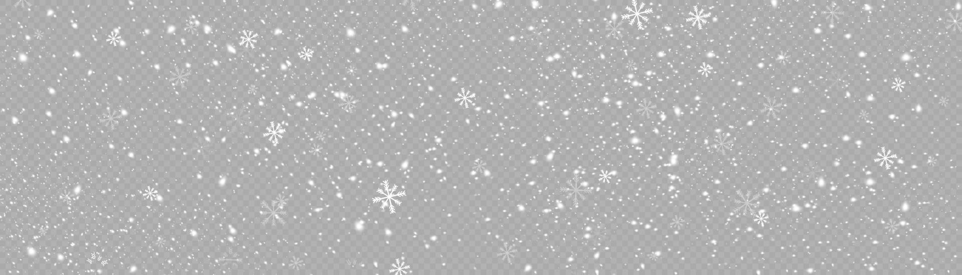 Snow and wind. Vector heavy snowfall, snowflakes in various shapes and forms. Many white cold flakes elements. White snowflakes are flying in the air. snow background.