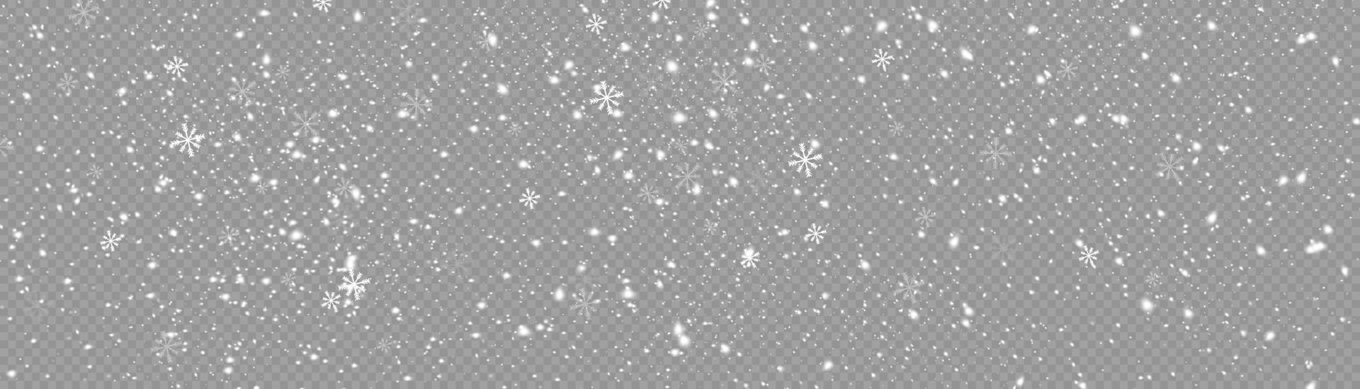 Snow and wind. Vector heavy snowfall, snowflakes in various shapes and forms. Many white cold flakes elements. White snowflakes are flying in the air. snow background.