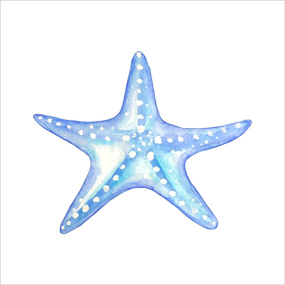 Watercolor blue starfish vector