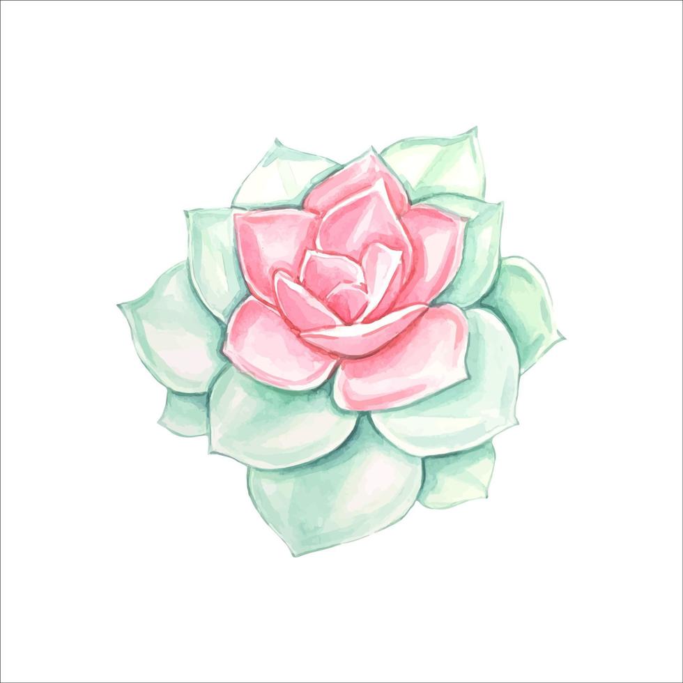 Watercolor succulents elements for invitations, greeting cards. vector