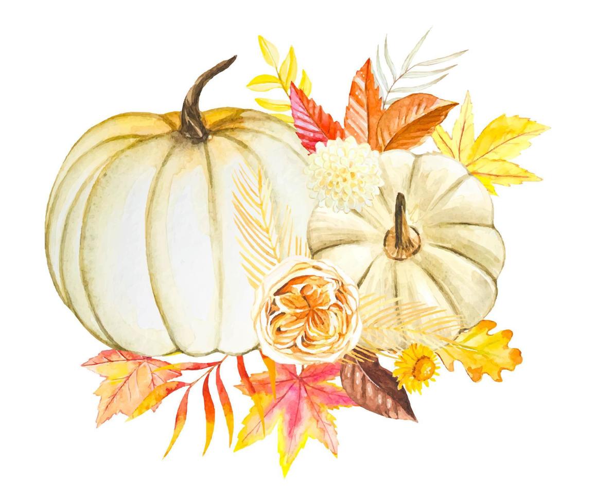 Hand drawn watercolor pumpkins, autumn illustration vector