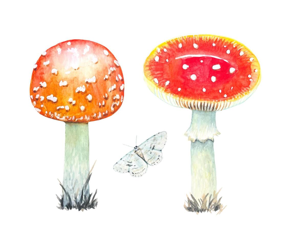 Set of watercolor fly agarics isolated vector