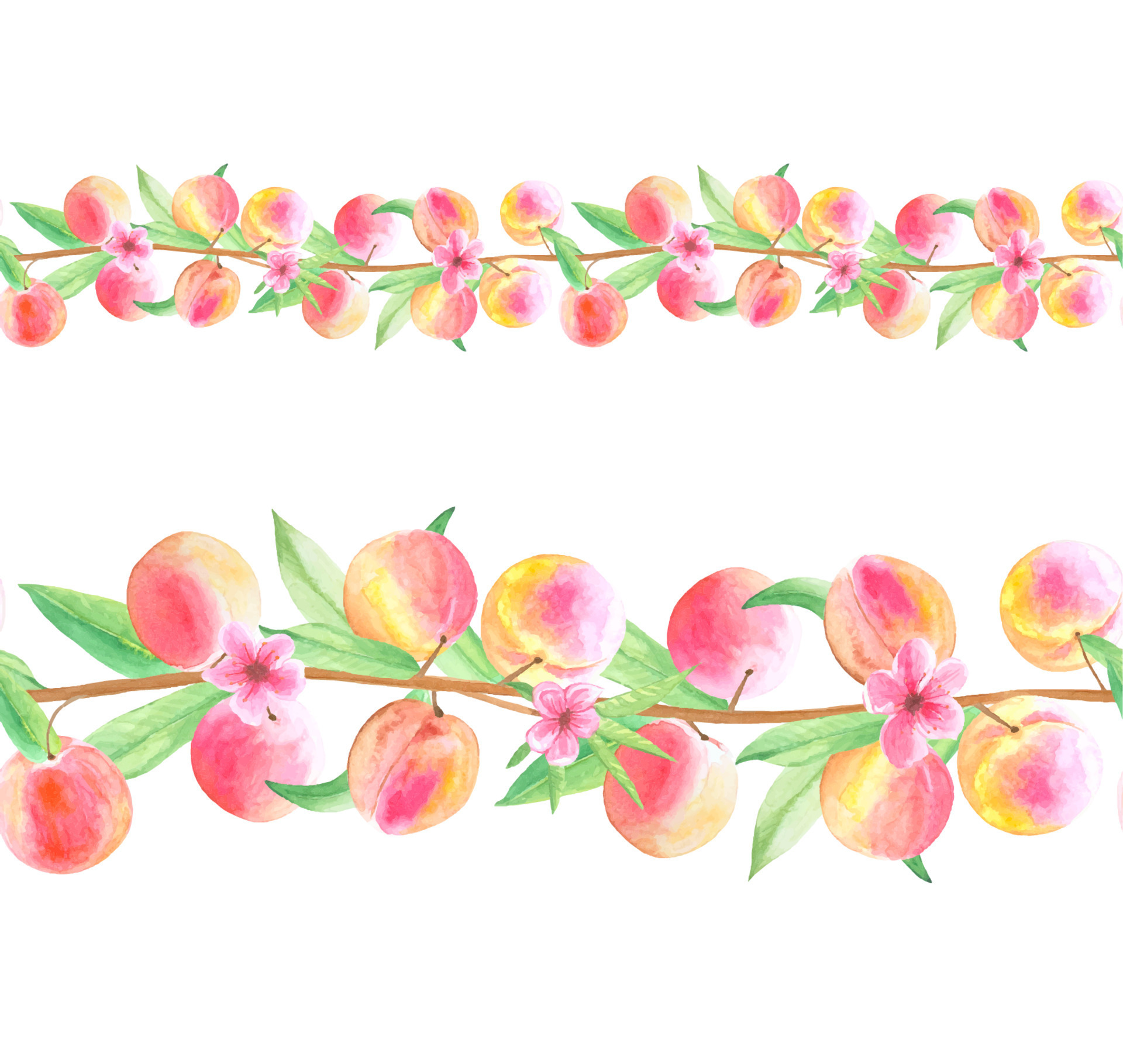 Seamless borders with ripe peaches, watercolor 11136533 Vector Art at