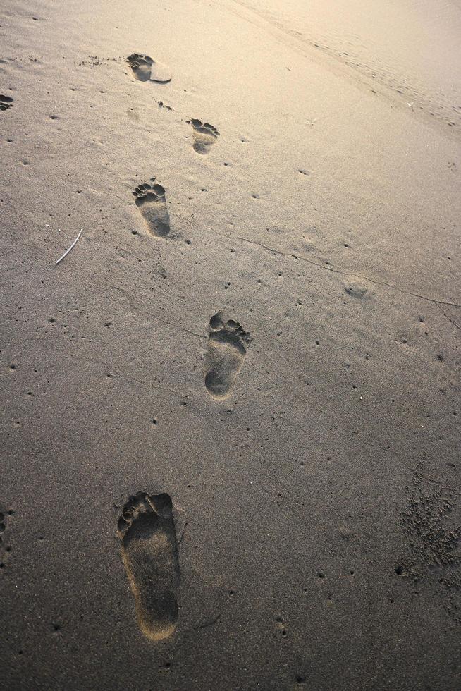 Human footprint on sand summer tropical beach at sunrise background with copyspace. photo