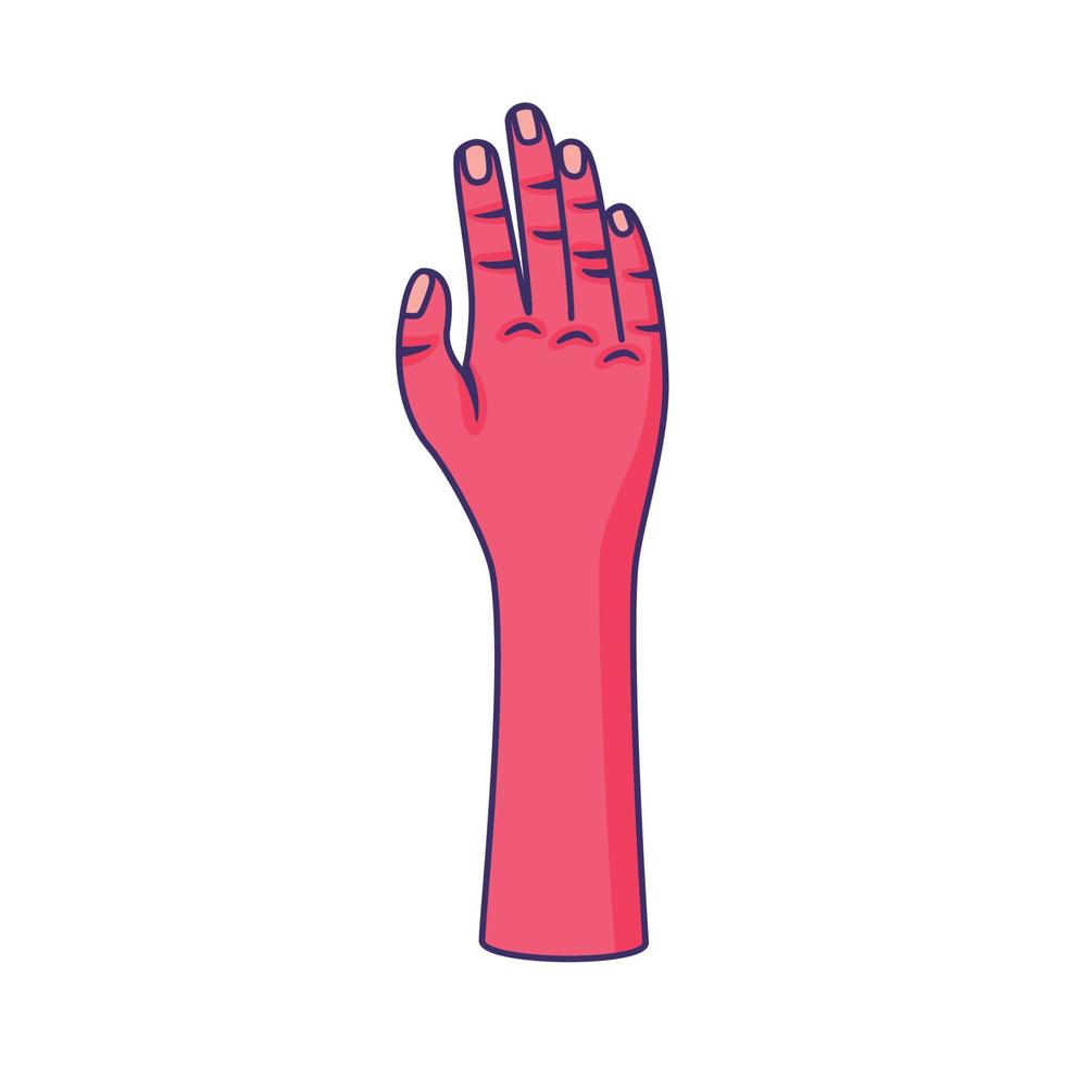 mano derecha humana abierta vector