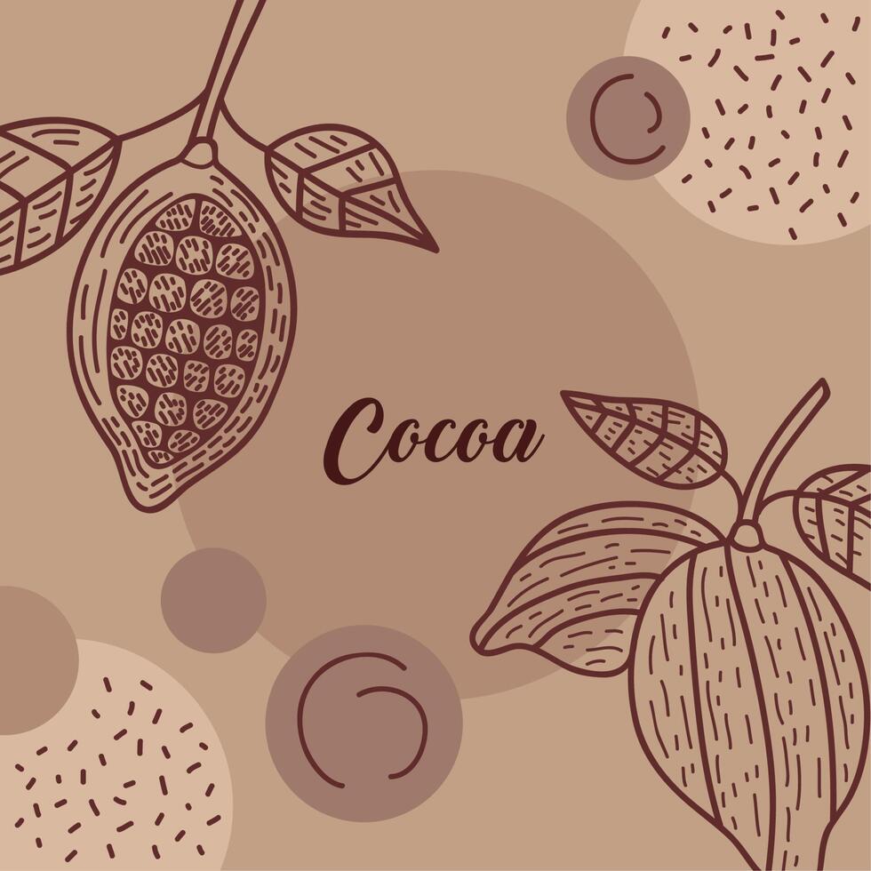 tarjeta de letras de cacao vector