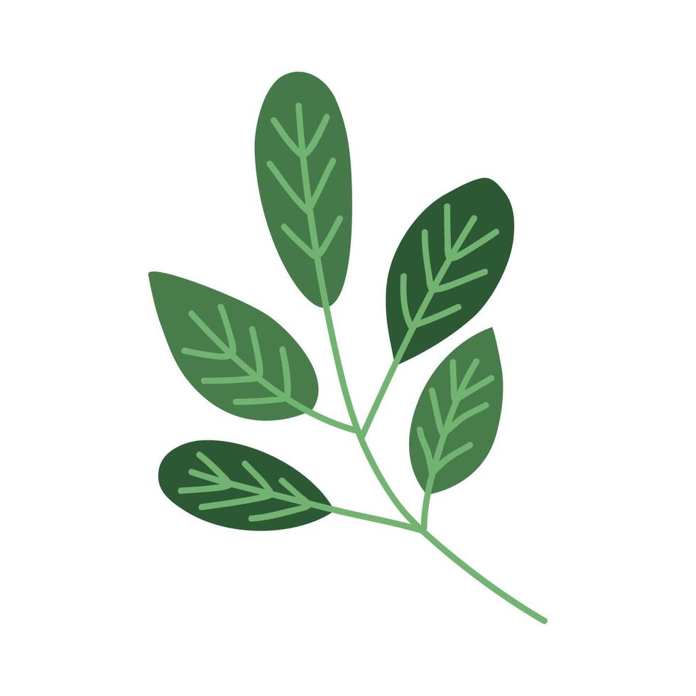 green leafs branch foliage vector