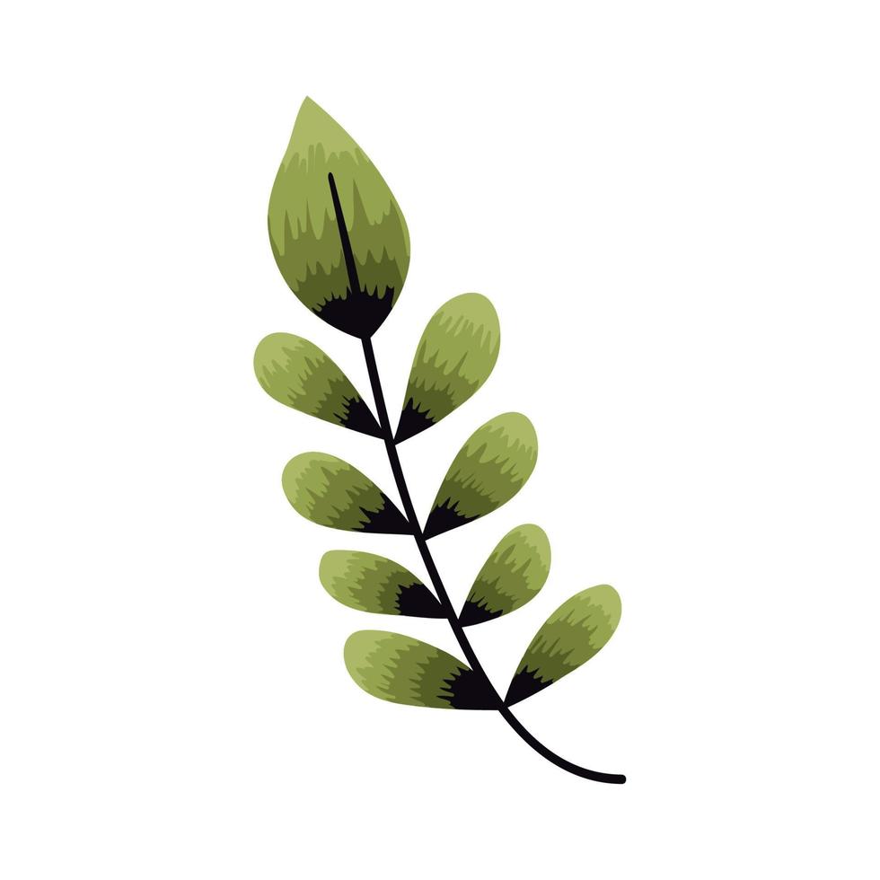 branch with green leaves vector